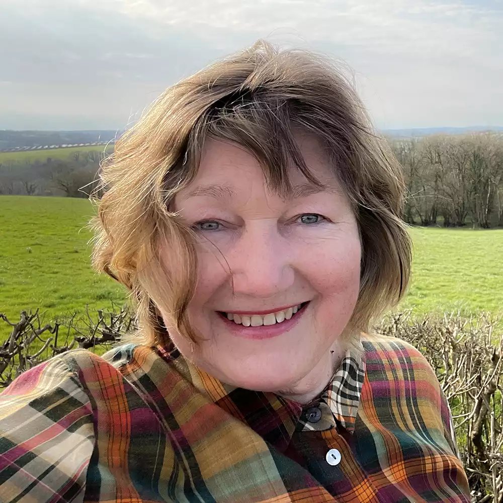 Sue Allen - Your Independent Candidate